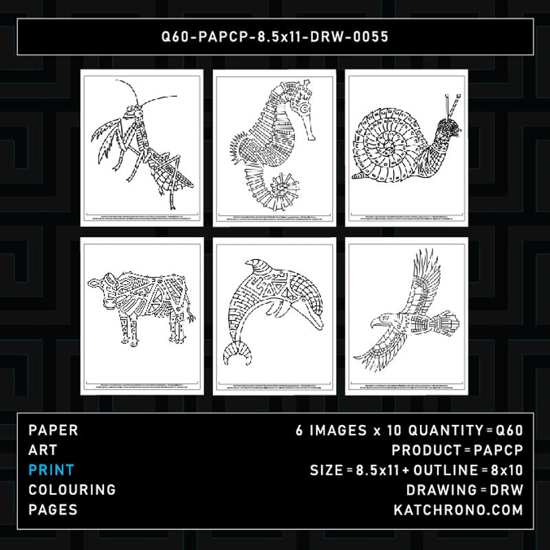 Q60-PAPCP-8.5x11-DRW-0055