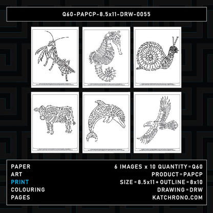 Q60-PAPCP-8.5x11-DRW-0055