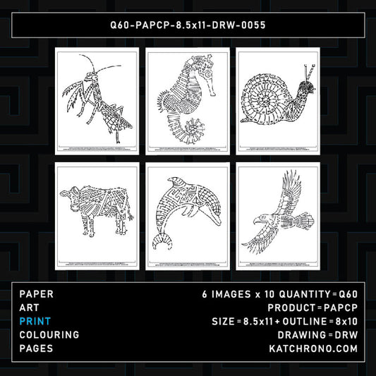 Q60-PAPCP-8.5x11-DRW-0055
