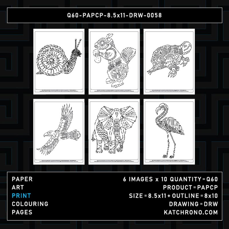 Q60-PAPCP-8.5x11-DRW-0058
