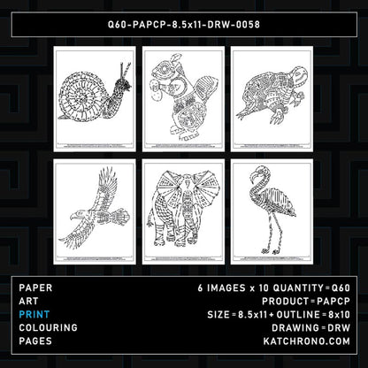 Q60-PAPCP-8.5x11-DRW-0058