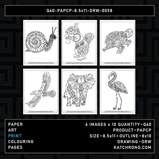 Q60-PAPCP-8.5x11-DRW-0058