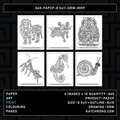 Q60-PAPCP-8.5x11-DRW-0059