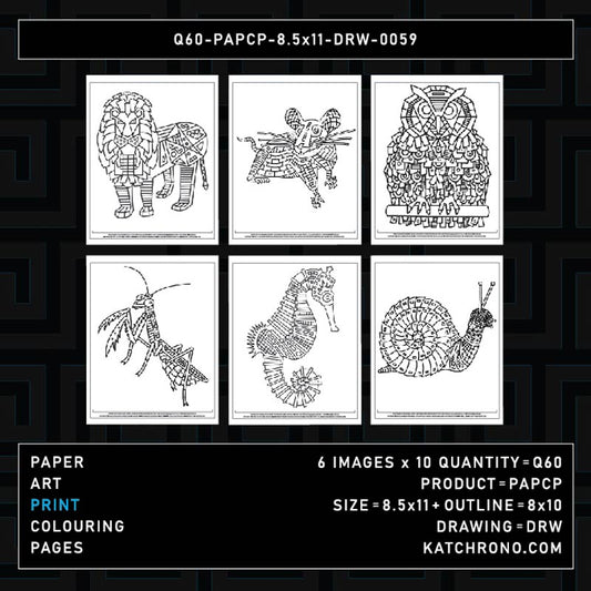 Q60-PAPCP-8.5x11-DRW-0059