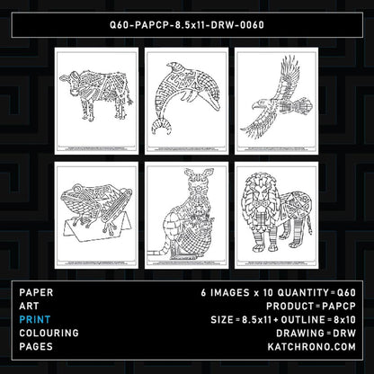 Q60-PAPCP-8.5x11-DRW-0060