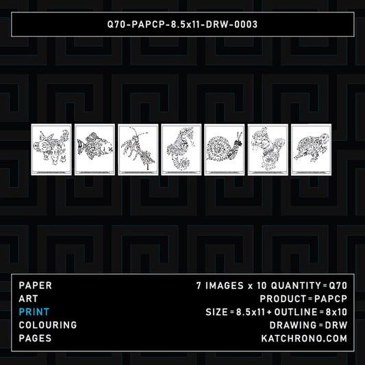 Q70-PAPCP-8.5x11-DRW-0003