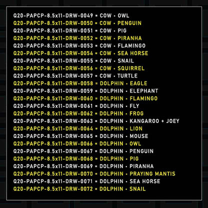 Q10-PAPCP-8.5x11-DRW-0003
