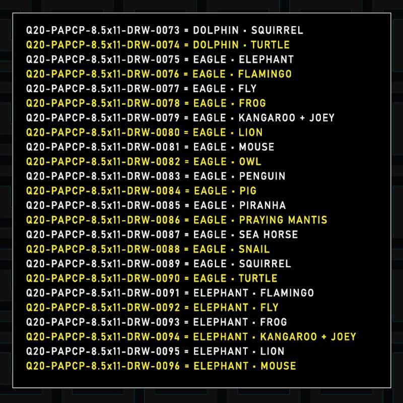 Q10-PAPCP-8.5x11-DRW-0003
