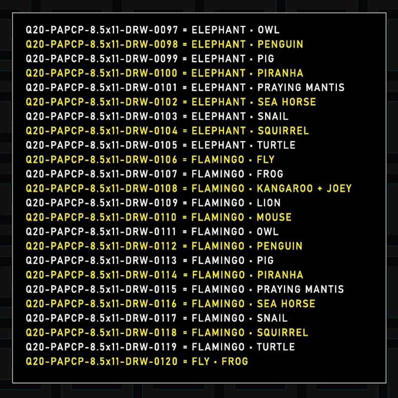 Q10-PAPCP-8.5x11-DRW-0003