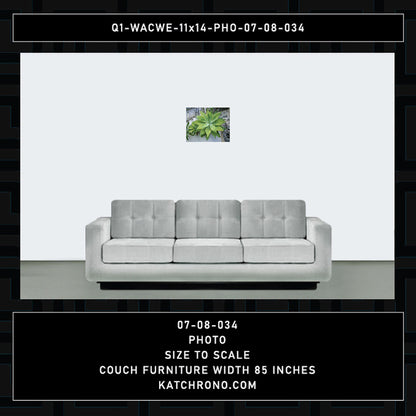 Q1-WACWE-11x14-PHO-07-08-034