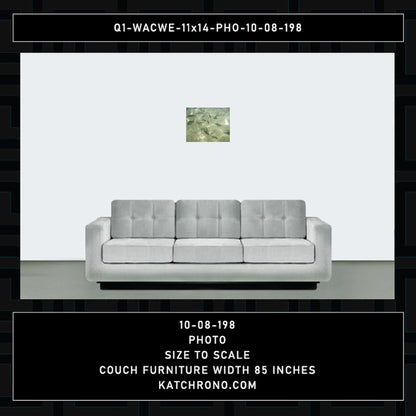 Q1-WACWE-11x14-PHO-10-08-198