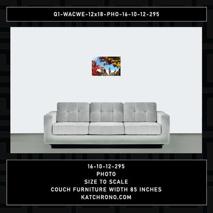 Q1-WACWE-12x18-PHO-16-10-12-295