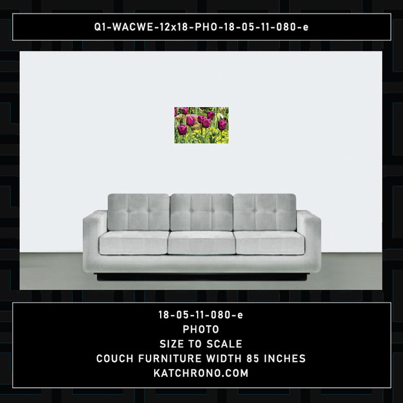 Q1-WACWE-12x18-PHO-18-05-11-080-e