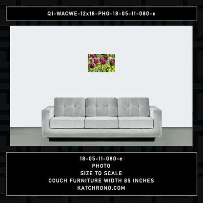 Q1-WACWE-12x18-PHO-18-05-11-080-e