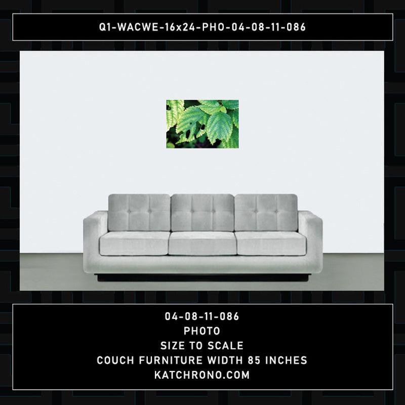 Q1-WACWE-16x24-PHO-04-08-11-086