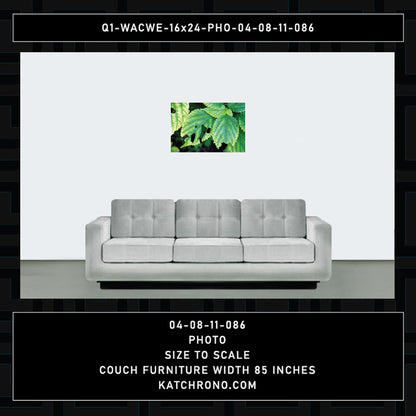 Q1-WACWE-16x24-PHO-04-08-11-086
