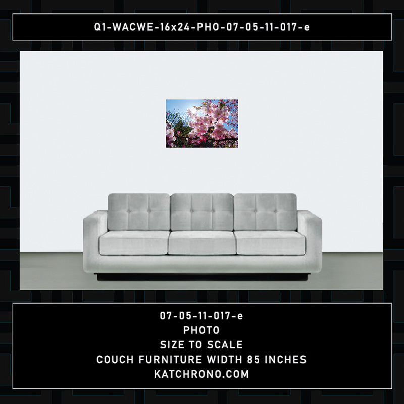 Q1-WACWE-16x24-PHO-07-05-11-017-e