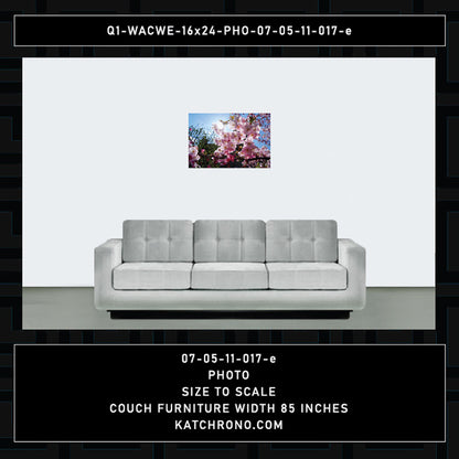 Q1-WACWE-16x24-PHO-07-05-11-017-e