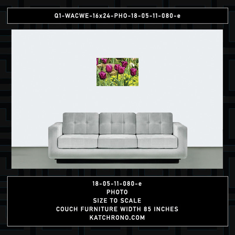 Q1-WACWE-16x24-PHO-18-05-11-080-e