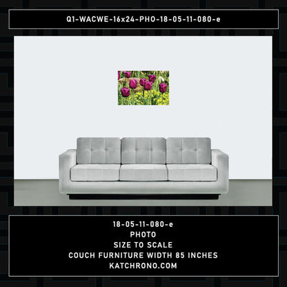 Q1-WACWE-16x24-PHO-18-05-11-080-e