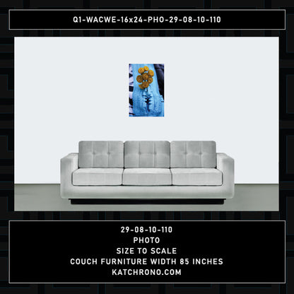 Q1-WACWE-16x24-PHO-29-08-10-110