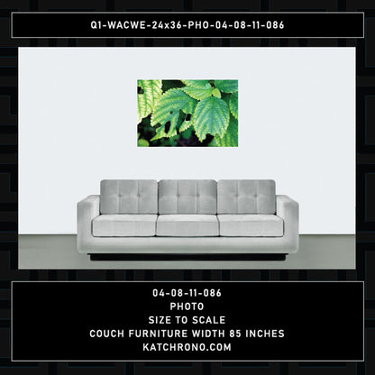 Q1-WACWE-24x36-PHO-04-08-11-086