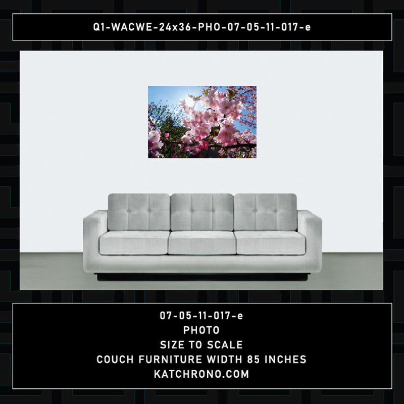 Q1-WACWE-24x36-PHO-07-05-11-017-e