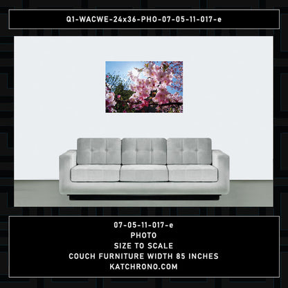 Q1-WACWE-24x36-PHO-07-05-11-017-e