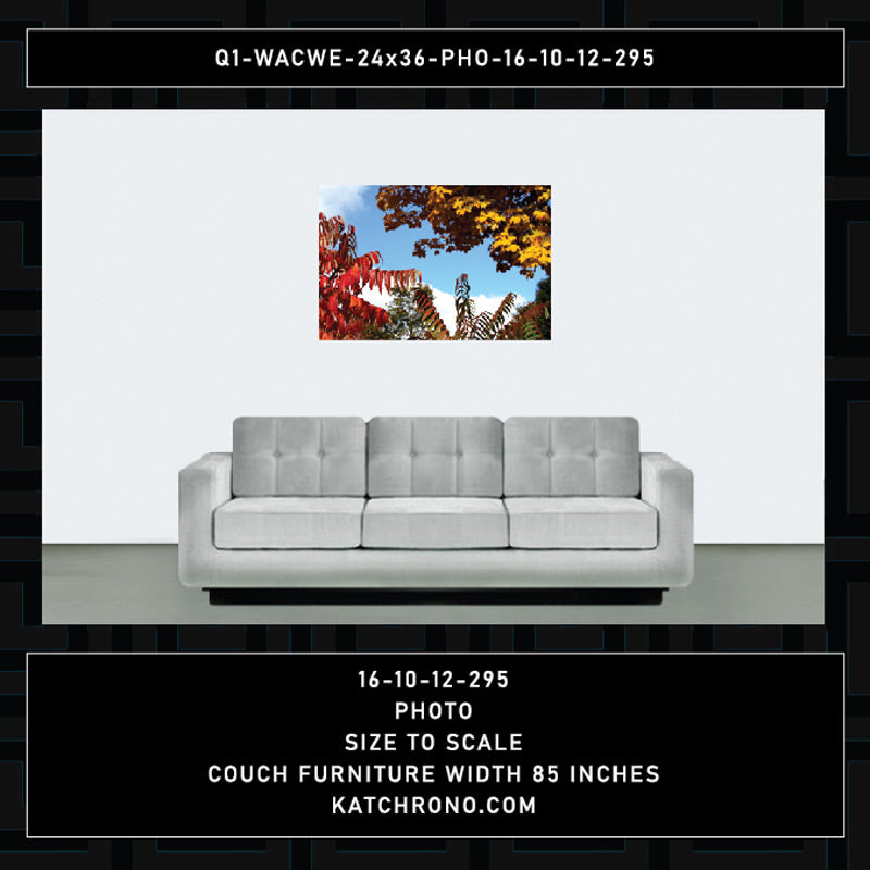 Q1-WACWE-24x36-PHO-16-10-12-295