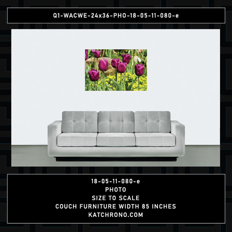 Q1-WACWE-24x36-PHO-18-05-11-080-e