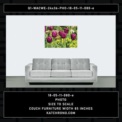 Q1-WACWE-24x36-PHO-18-05-11-080-e