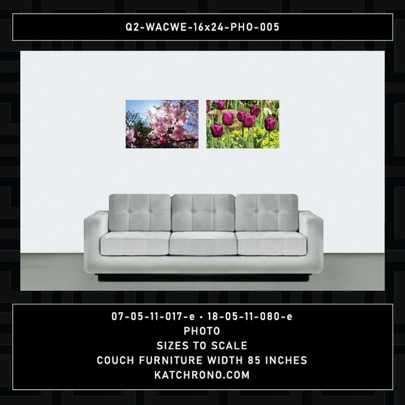 Q2-WACWE-16x24-PHO-005
