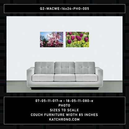 Q2-WACWE-16x24-PHO-005