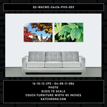 Q2-WACWE-24x36-PHO-003