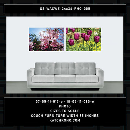 Q2-WACWE-24x36-PHO-005