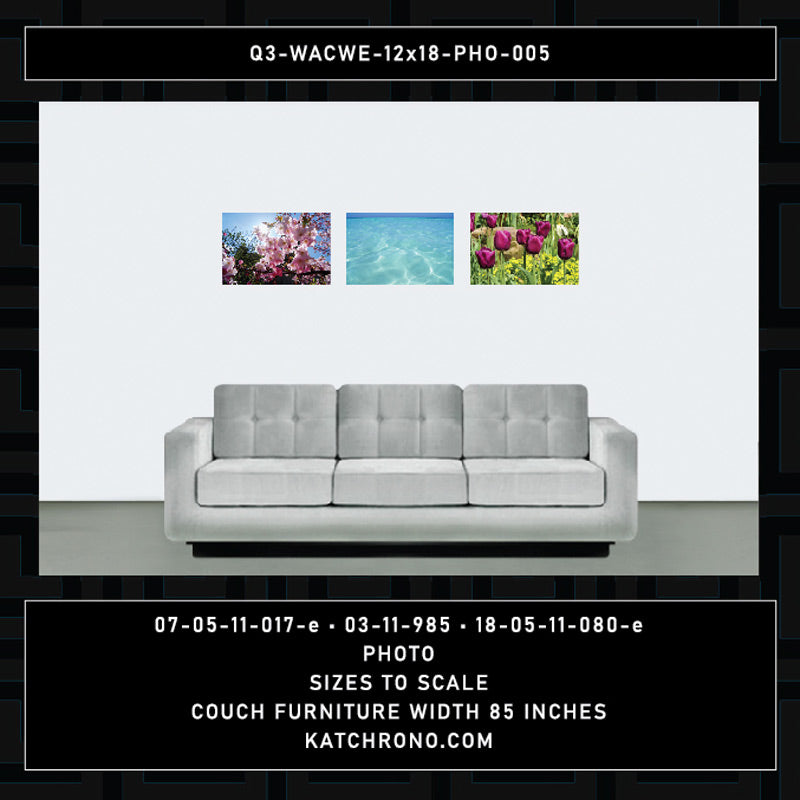 Q3-WACWE-12x18-PHO-005