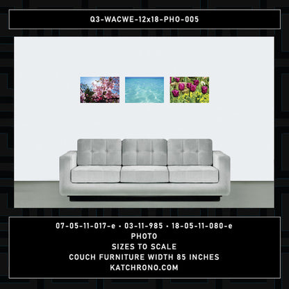 Q3-WACWE-12x18-PHO-005