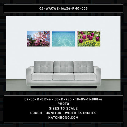 Q3-WACWE-16x24-PHO-005