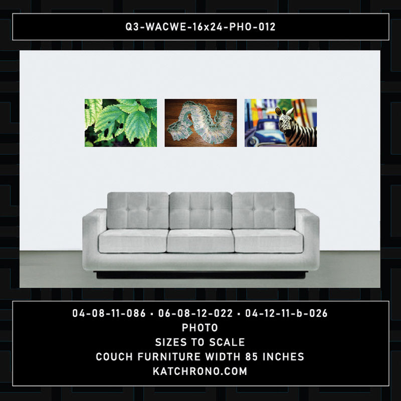 Q3-WACWE-16x24-PHO-012