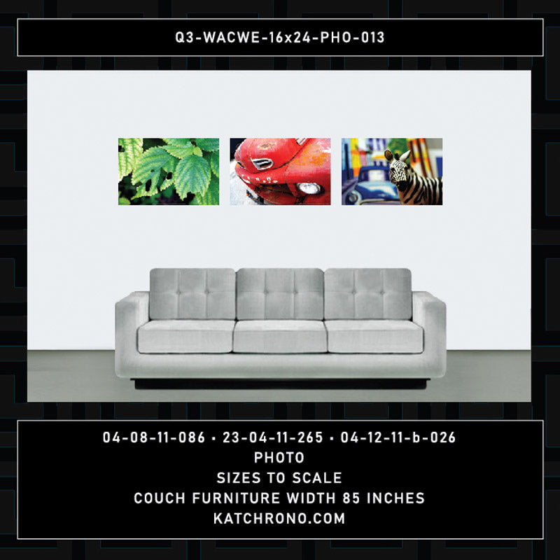Q3-WACWE-16x24-PHO-013