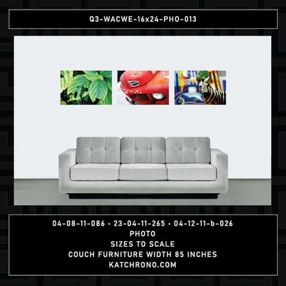 Q3-WACWE-16x24-PHO-013