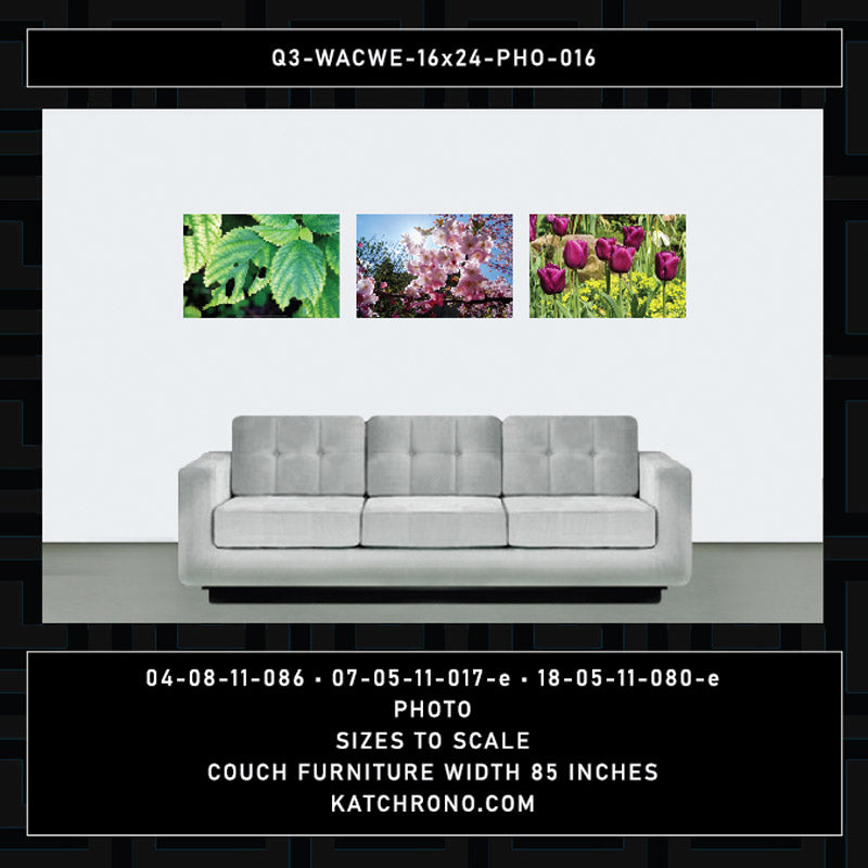 Q3-WACWE-16x24-PHO-016
