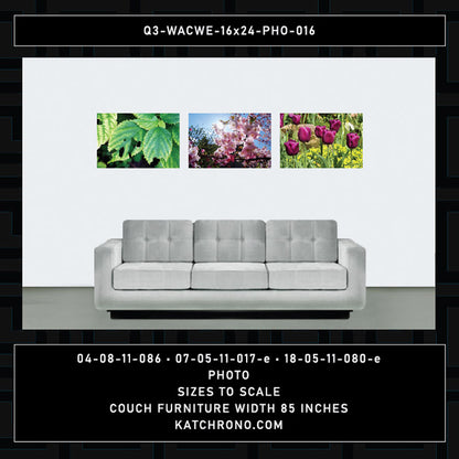 Q3-WACWE-16x24-PHO-016